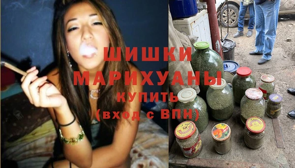 mix Ельня