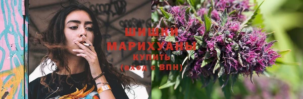 дурь Нея