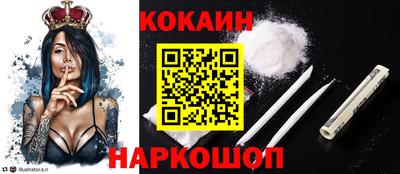 индика Дубна