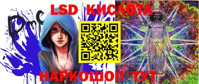 дмт Донской
