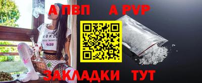 индика Дубна