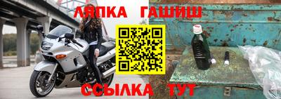 дмт Донской
