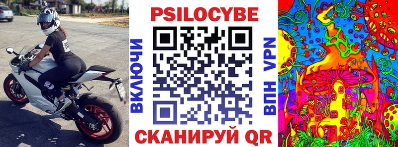 OMG как войти  Кимры  Псилоцибиновые грибы Cubensis 