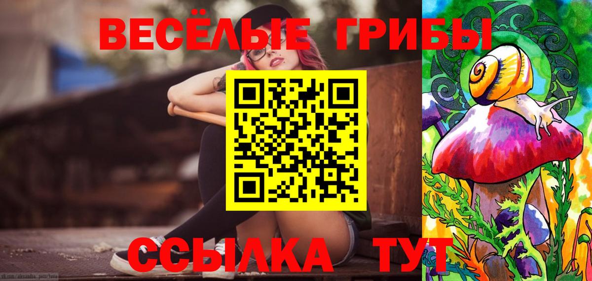 Галлюциногенные грибы Psilocybine cubensis Кимры